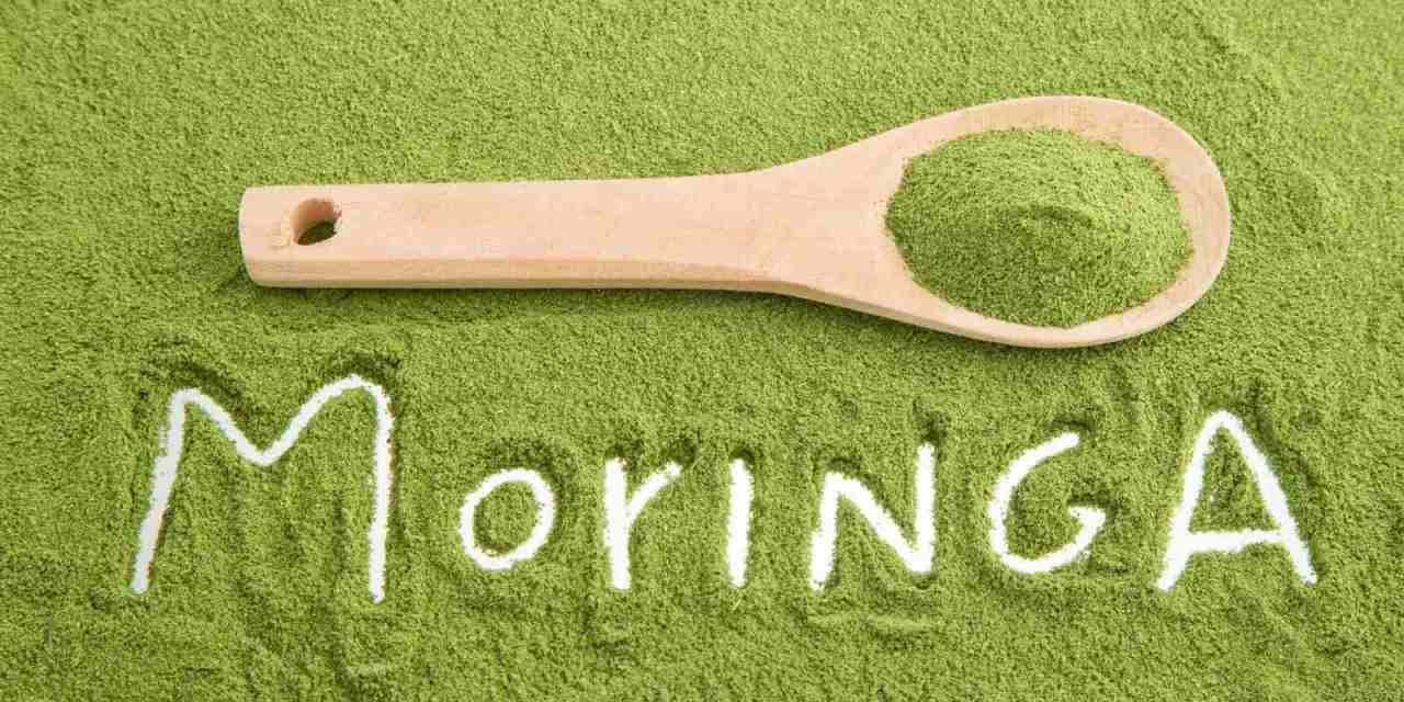Moringa for weight loss: How drumsticks help you lose weight?