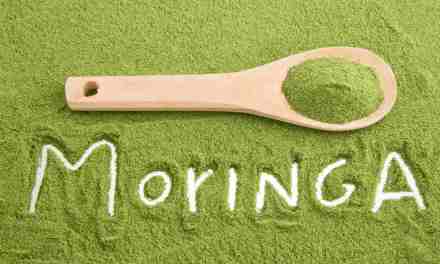 Moringa for weight loss: How drumsticks help you lose weight?
