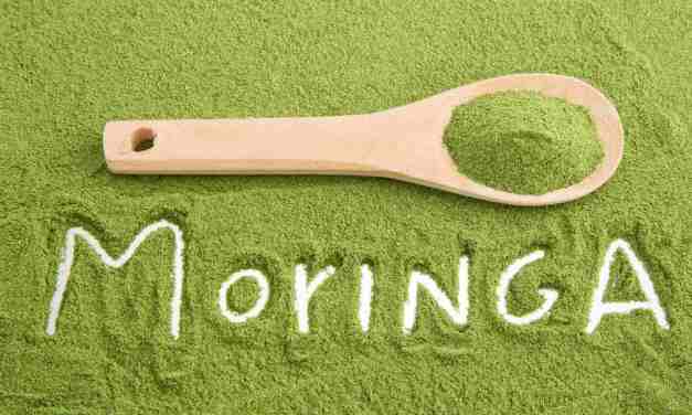 Moringa for weight loss: How drumsticks help you lose weight?