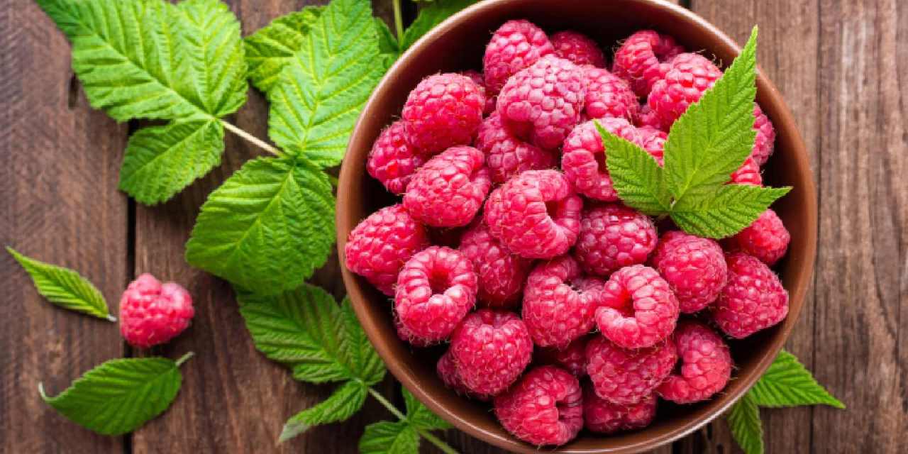 Raspberries for weight loss: 8 berry delicious ways to stay in shape