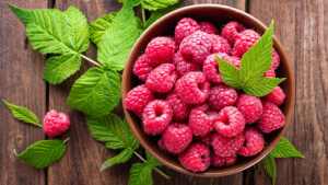Raspberries for weight loss: 8 berry delicious ways to stay in shape 1