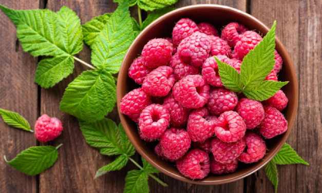 Raspberries for weight loss: 8 berry delicious ways to stay in shape