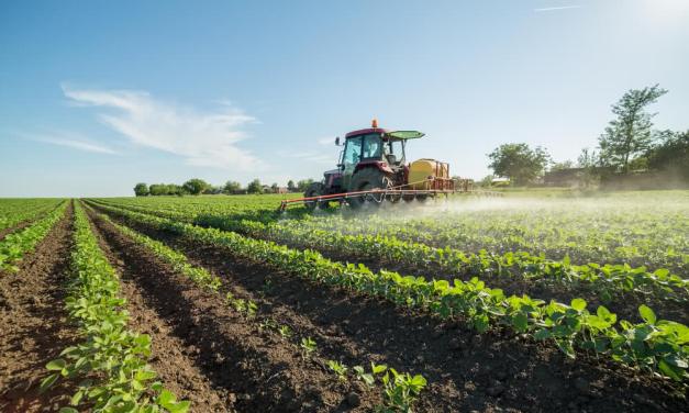 What is Natural Farming? How is it Different from Organic Farming?