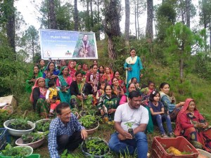International Mountain Day: Afforestation initiatives repair the Himalayan ecosystem 3
