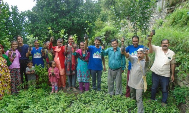 International Mountain Day: Afforestation initiatives repair the Himalayan ecosystem
