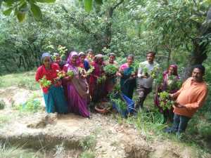 International Mountain Day: Afforestation initiatives repair the Himalayan ecosystem 4 International Mountain Day: Afforestation initiatives repair the Himalayan ecosystem 4