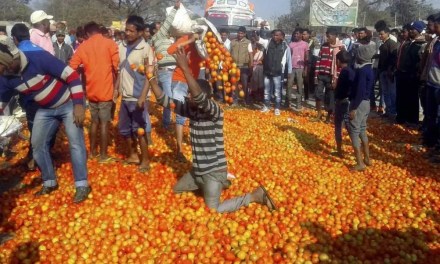 The Tumbler Check: How India’s Farm Disaster Emptied Rural Houses of Milk and Hope