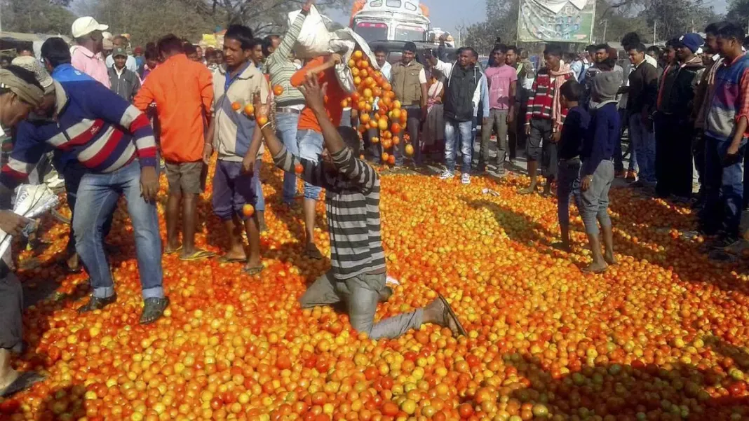 The Tumbler Check: How India’s Farm Disaster Emptied Rural Houses of Milk and Hope