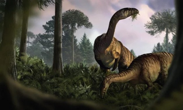 Fossilized Dung Uncovers the Secret Recipe for Dinosaur Success