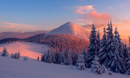 Good News! 30 Positive Environmental News Stories From 2024