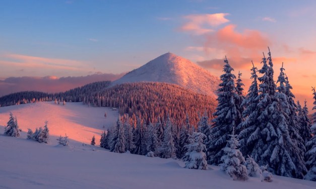 Good News! 30 Positive Environmental News Stories From 2024