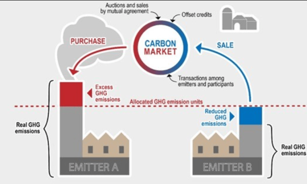 How would a carbon market function?