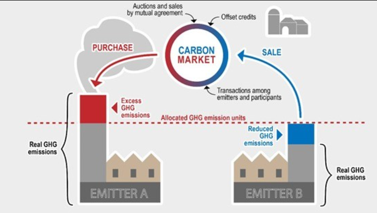 How would a carbon market function?