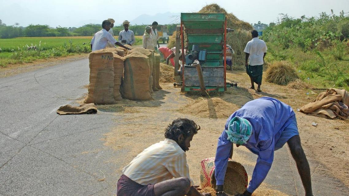 In energy-dependent world, the issue of food security