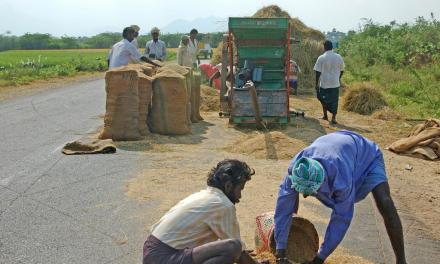 In energy-dependent world, the issue of food security