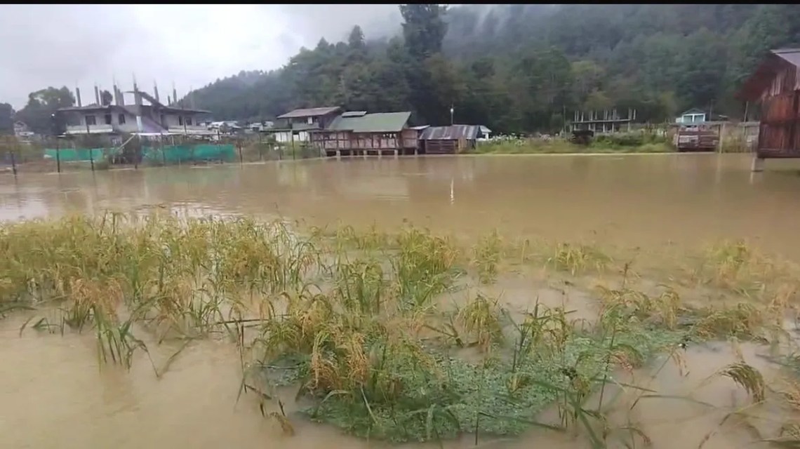 Heatwaves in Ziro: Climate change hitting Arunachal hard, and locals are worried