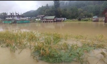 Heatwaves in Ziro: Climate change hitting Arunachal hard, and locals are worried