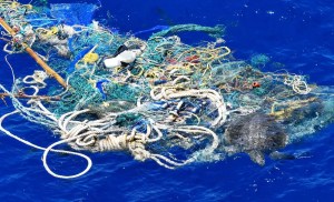 Some experts think we should pause our ocean plastic cleanup efforts 1