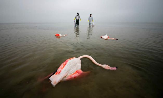 15 Outstanding Winning Photos from the 2024 Our Nature Environmental Photography Awards