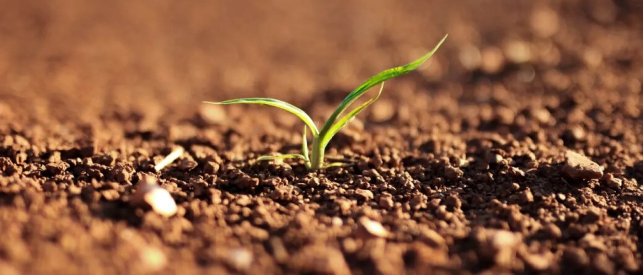 Three-quarters of Earth’s land became permanently drier in last three decades: UN