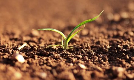 Three-quarters of Earth’s land became permanently drier in last three decades: UN