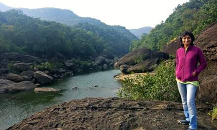 Wisdom from wanderings in the wild: What forests can teach us about life