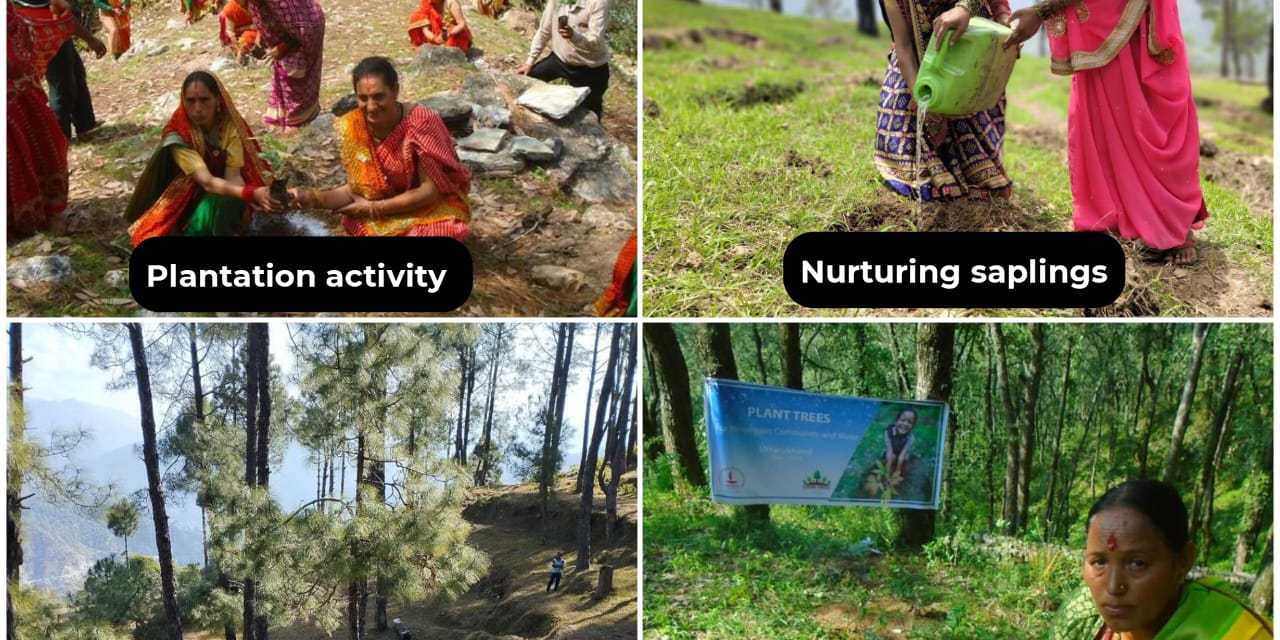 Grow-Trees.com pledges to plant 3 million trees to make India greener and healthier in 2025