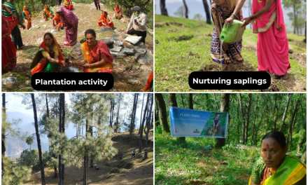 Grow-Trees.com pledges to plant 3 million trees to make India greener and healthier in 2025