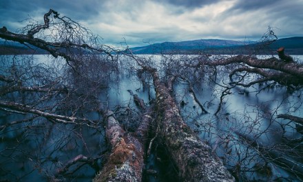 22 Captivating Nature Photos That Will Take Your Breath Away