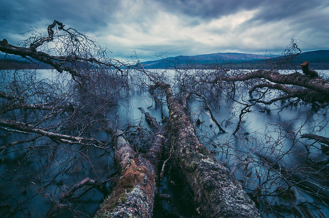 22 Captivating Nature Photos That Will Take Your Breath Away