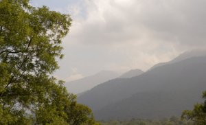 Western Ghats Among World’s 4 Regions Where Freshwater Species Are at Highest Risk of Extinction 1