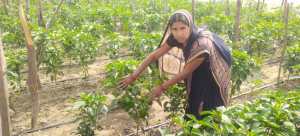 National Girl Child Day: Five impactful initiatives that are giving wings to rural girls 3