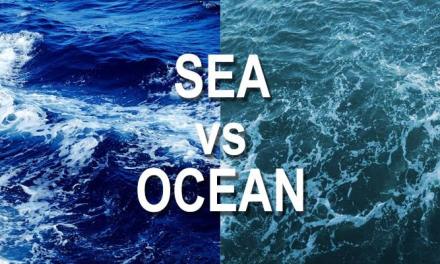 What Sets Seas Apart from Oceans? A Comprehensive Comparison