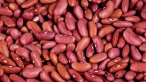 7 nutrient-packed beans everyone should add to their diet in 2025 1 7 nutrient-packed beans everyone should add to their diet in 2025 1