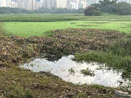 Saving Bengaluru’s lakes: How citizen audits protect ecosystem assets