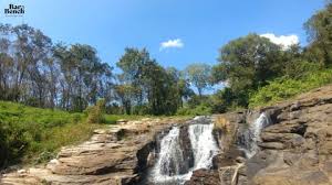 Important Environmental Law orders and judgments passed in 2024