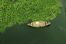 In data: Wet weather turns wild as climate change bites