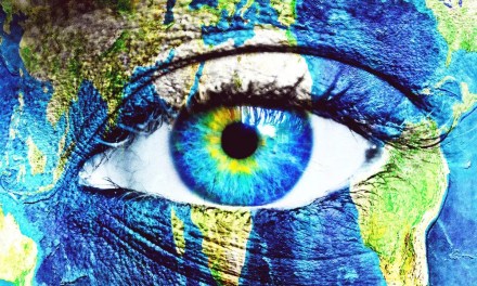 Which animal will replace humans as Earth’s dominant species? This scientist has an idea