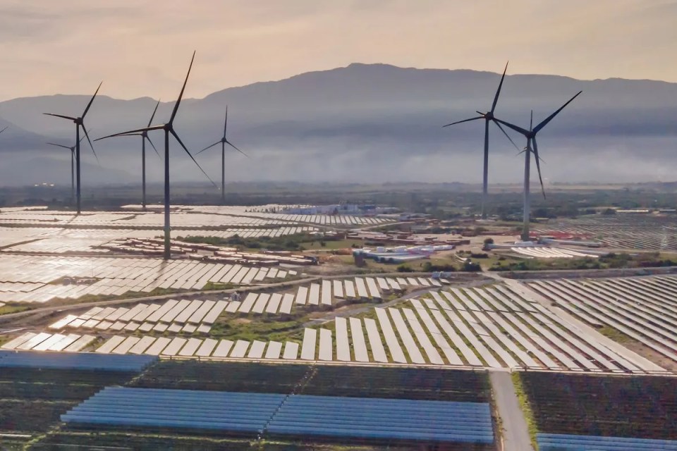 World’s largest renewable energy project, size of El Salvador, seeks go-ahead