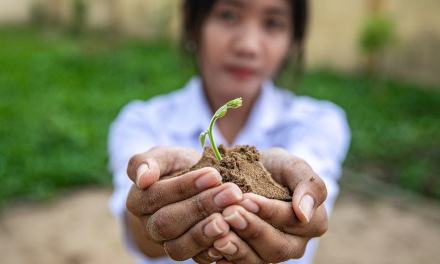 The climate crisis: 5 things to watch out for in 2025