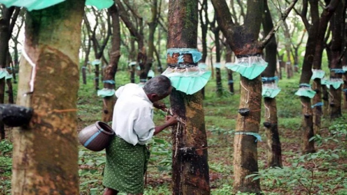 India’s iSNR: Setting Global Standards in Sustainable Rubber
