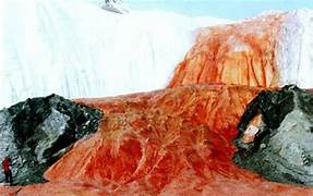Blood Falls: Know The Mystery Behind Crimson-Stained Water Flowing In Antarctica