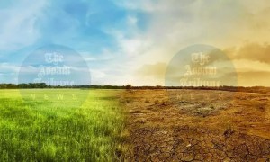 Assam to witness rising temperatures, changing rainfall patterns by 2040: Study 1