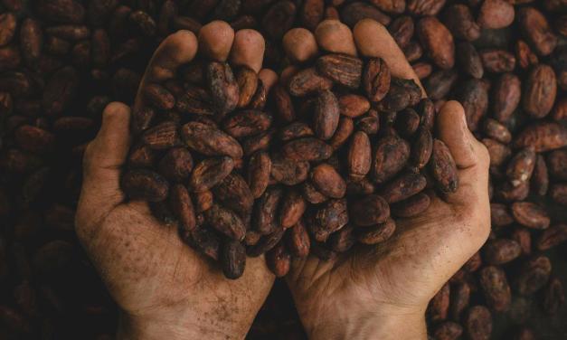 Chocolate is going to get more expensive as Brazil’s cocoa crops struggle in arid weather