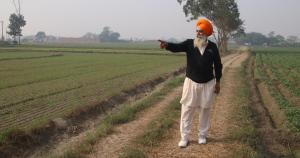 Why Indian farmers can’t escape the trap of monocropping 1