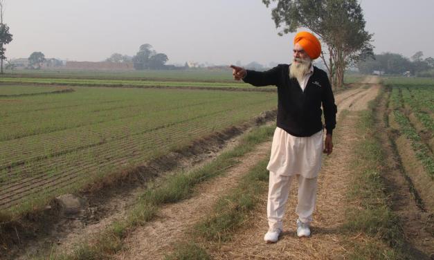 Why Indian farmers can’t escape the trap of monocropping