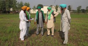 The fertiliser addiction of Indian farming is a crisis 1