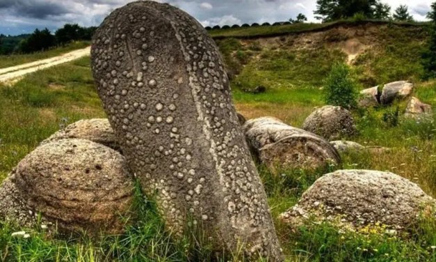 Romania’s ‘Living’ Rocks Expand and Multiply in a Strange Natural Process