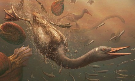 Remarkable Fossil Discovery Hints at Antarctic Origins of All Modern Birds