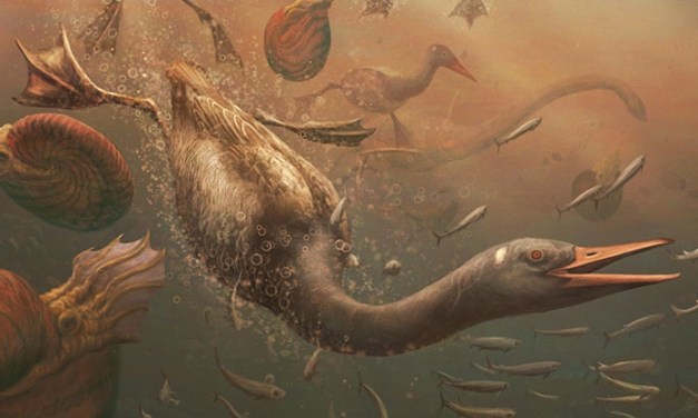 Remarkable Fossil Discovery Hints at Antarctic Origins of All Modern Birds